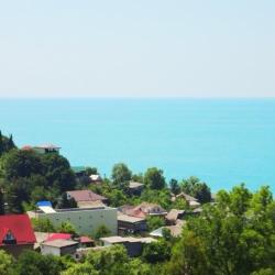 Фото Отель Южная пальмира