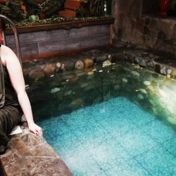 Фото Парк-Отель Березка