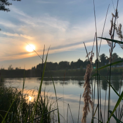 Фото Парк-Отель Спасское