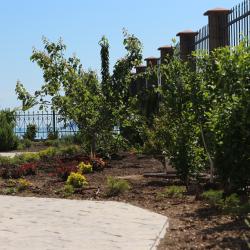 Фото Отель Авокадо