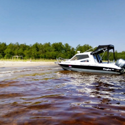 Фото Отель Гостевой комплекс Сосны