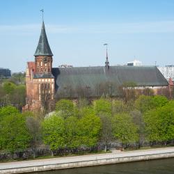 Фото Апартаменты Pavlov на набережной Старопрегольская