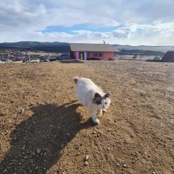Фото Отель Филоксения Ольхон-Байкал