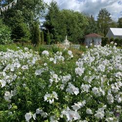 Фото Отель Иваново Подворье