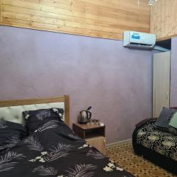 Фото Отель Эмиль