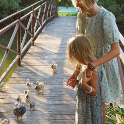 Фото Парк-отель Озеро Дивное