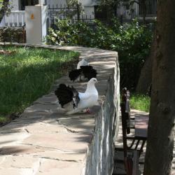 Фото Отель Рубикон