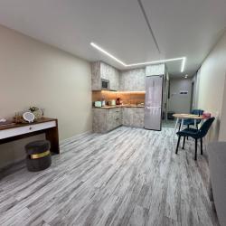 1-комнатные апартаменты студия