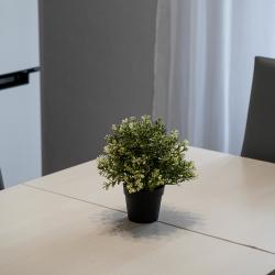 Фото Апартаменты на улице Героя Сарабеева В.И. 5 корпус 5