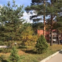 Фото Отель Берлога