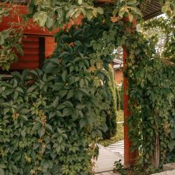 Фото Отель Три Медведя