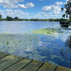 Фото Отель Прибрежный