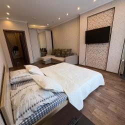 1-комнатные апартаменты стандарт Карла Либкнехта 114