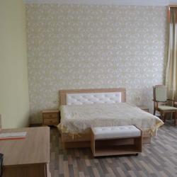 Номер люкс с 1 двуспальной кроватью
