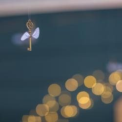 Фото Отель Гарри и философский чан