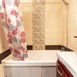 1-комнатные апартаменты стандарт №219