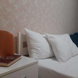 Фото Апартаменты на проспекте Ленина 103