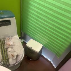 Номер стандарт эконом с 2 односпальными кроватями