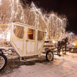 Фото Отель Старый город