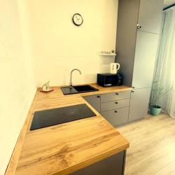 Фото Апартаменты на улице Мечникова