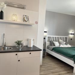 1-комнатные апартаменты стандарт Loft 50 метров над землёй