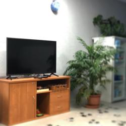 Фото Отель Космос