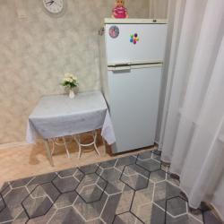 Фото Апартаменты на улице Воровского 3