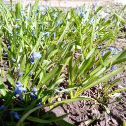 Номер стандарт (мансарда)