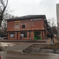 фото 30 Вежливый Лось на Ботаническом саду