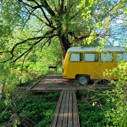 Номер стандарт Woody Yellow