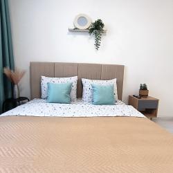 1-комнатные апартаменты улучшенные с 1 двуспальной кроватью