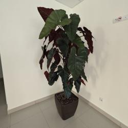 Фото Отель Фамильный