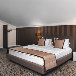 Фото Отель Дачи