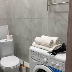 Фото Апартаменты на улице имени М.П. Шемякина 2