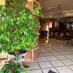 Фото Отель Новая Астория