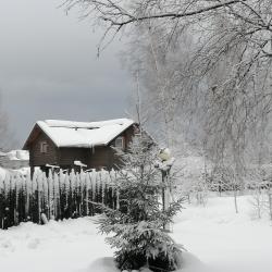 Фото Отель Гостевой дом Окулова Заимка