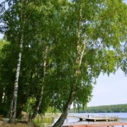 Фото Отель Эко-комплекс Кантри Хоум