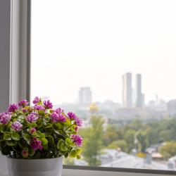 Фото Отель Арена