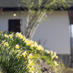 Фото Отель Домик в горах