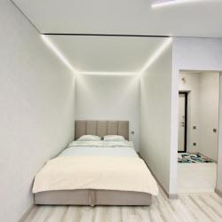 1-комнатные апартаменты улучшенные с 1 двуспальной кроватью