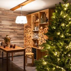 Фото Отель Снежные Гуси