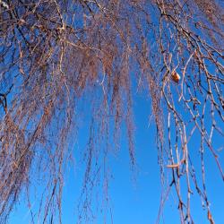 Фото Отель Гостевой дом Брейтово