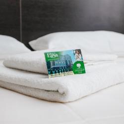 Фото СПА-Отель Ореховый сад