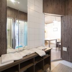 Фото Отель Аэроклуб Алпина-Авиа