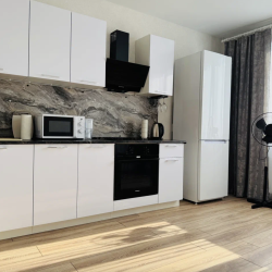 Фото Апартаменты на Пескова