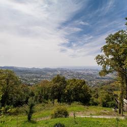 Фото Отель Фазенда Огни Сочи