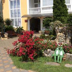 Фото Отель Орион