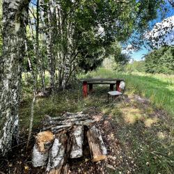 Фото Отель Загородный коттедж