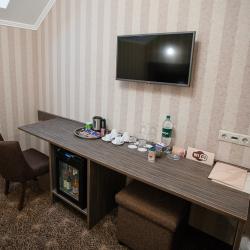 Фото Отель Родина