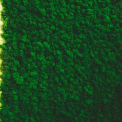 Фото Отель КетиГеш